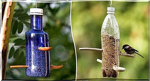 Bird feeders from recycled plastic bottles