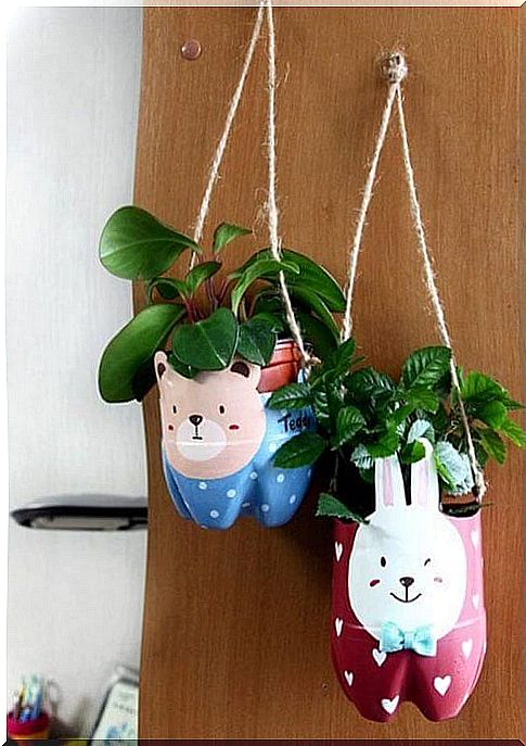 Plant holders of recycled plastic bottles