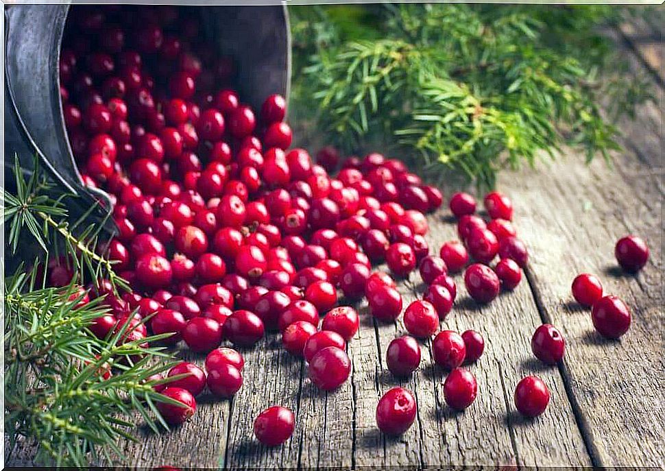 Cranberries