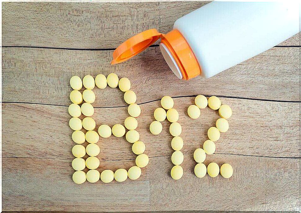 Monitor your vitamin B12 intake