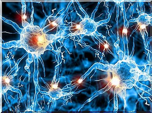 sleep-and-effect-on the% cc% 8a brain