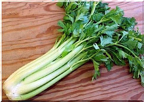 Celery