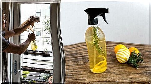 lemon peel air freshener