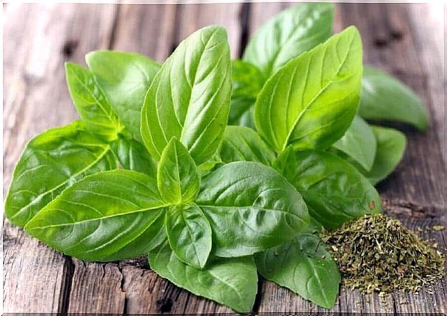 Basil for those with high blood pressure