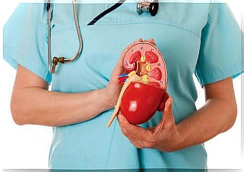 A doctor holding a kidney in plastic.