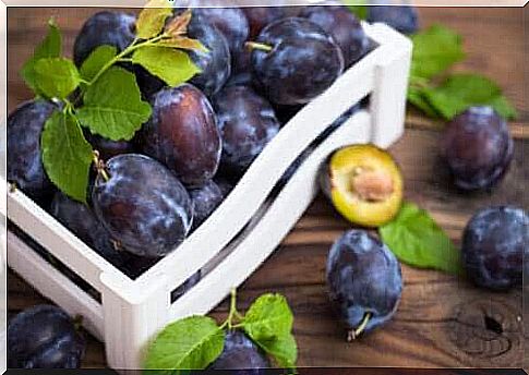 Discover the different types and varieties of plums