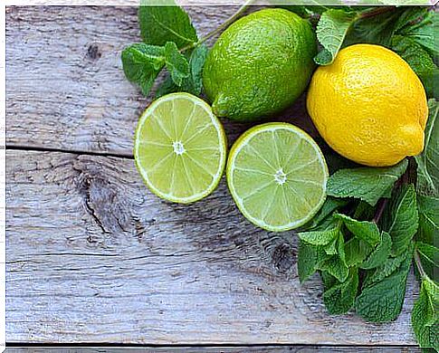 Lemon and lime cleanse the body 