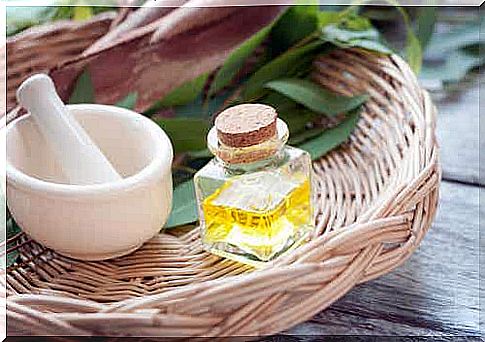 Eucalyptus oil.