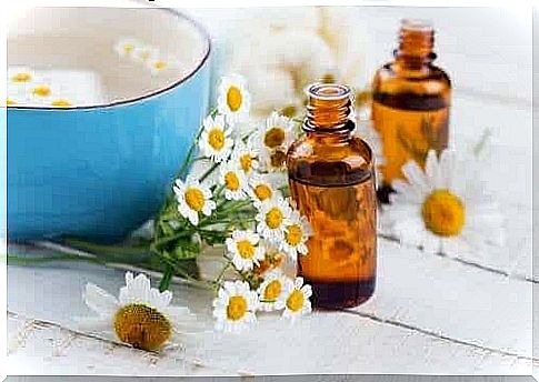 Chamomile flowers and chamomile essential oil.