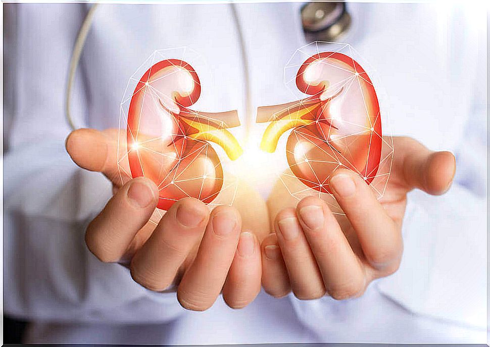 Fantastic detoxifying diet to cleanse the kidneys