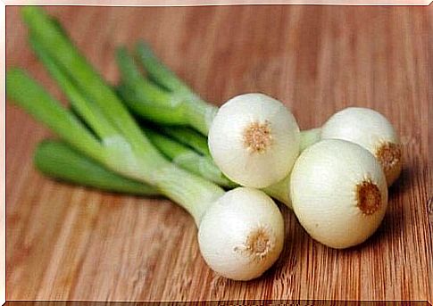 Spring onions