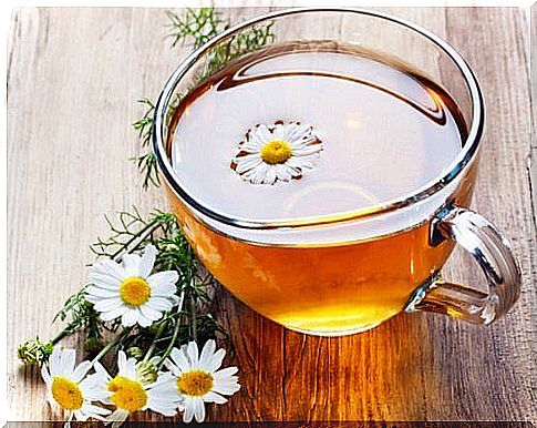 chamomile