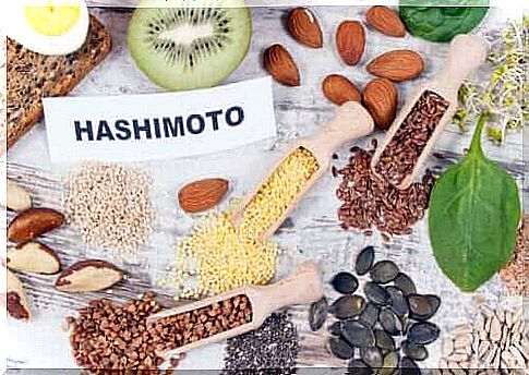 Foods you can include in a diet when you have Hashimotos