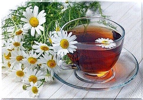 Chamomile