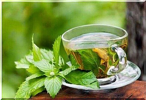 Lemon balm tea