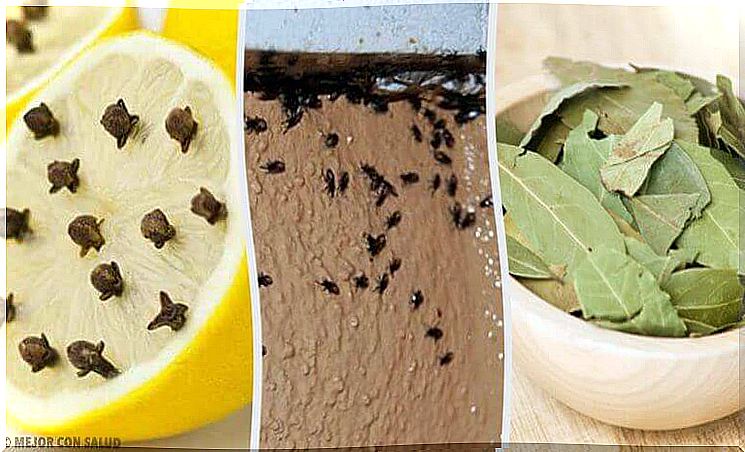 Get rid of annoying insects using natural ingredients