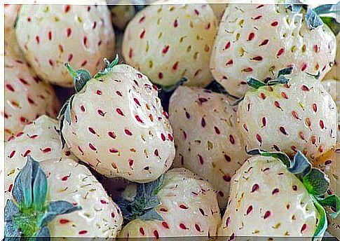 Have you heard of white strawberries?