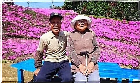 Husband plants 1000 flowers for his blind wife