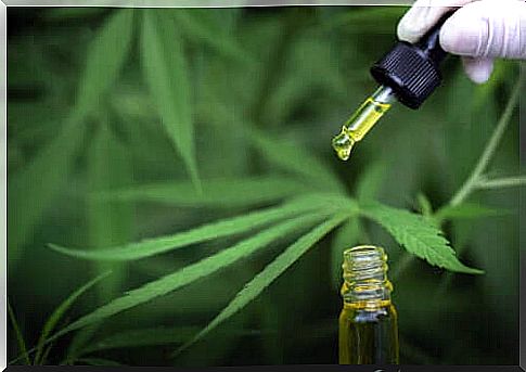 Properties and uses of CBD oil