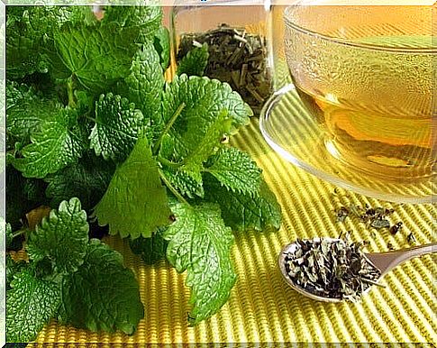 Lemon balm tea