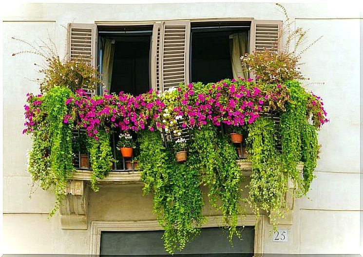 Small urban gardens that bring harmony to your balcony