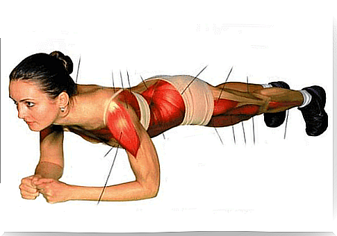 The plank - good training for the whole body