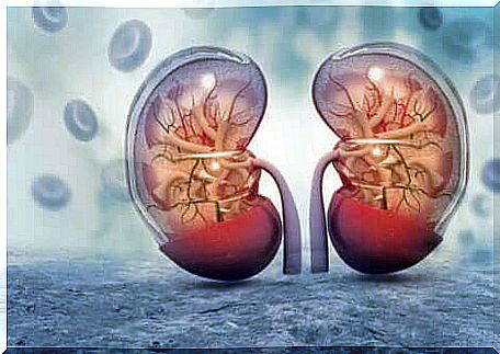 Blue graphic showing transparent kidneys next to each other.