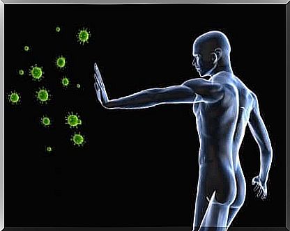 How viruses and the immune system work